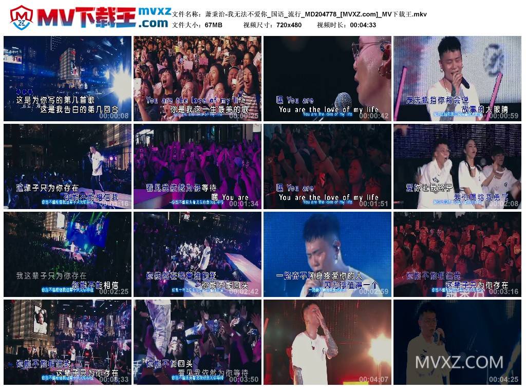 萧秉治-我无法不爱你_国语_流行_MD204778